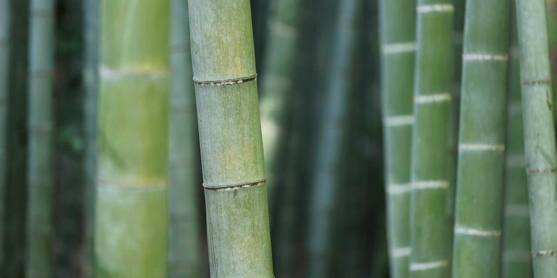 EH201215：网络技术基石解析——VPS与域名注册的协同之道