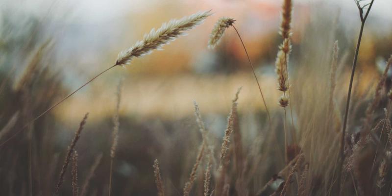 EH201219深度解析：VPS技术演进与主机服务商的网络架构革命