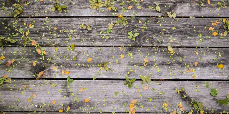 EH201232深度解析：现代主机服务商如何通过VPS与网络技术创新赋能企业数字化转型