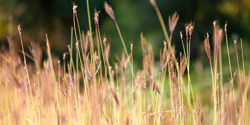 EH201254解析:网络技术基石下的域名注册与企业建站战略