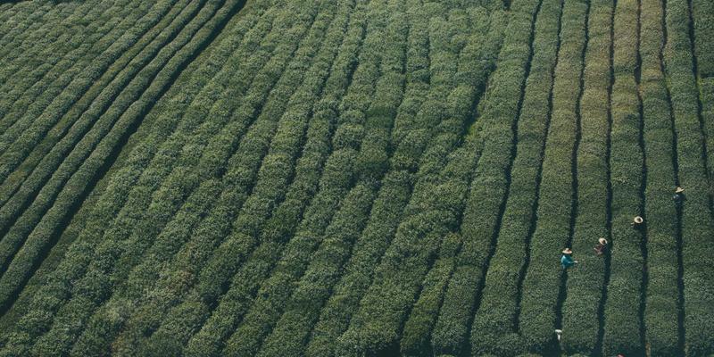 EH201280深度解析：虚拟主机技术演进与主机服务商选择指南