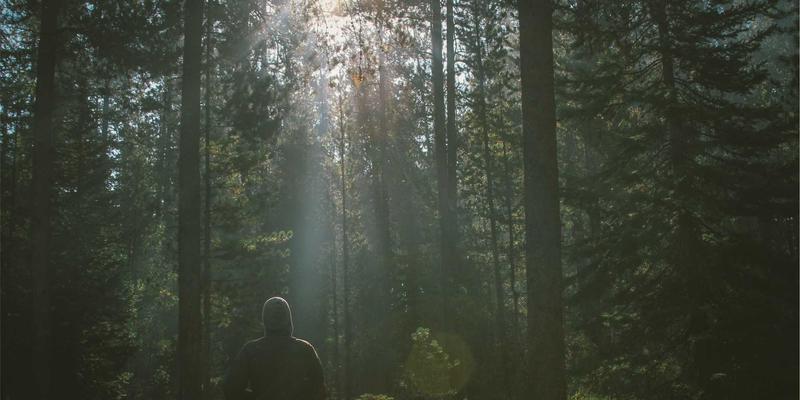 EH2012安全需求规范（SRS）编写指南：为网络服务、虚拟主机与域名注册构筑安全基石