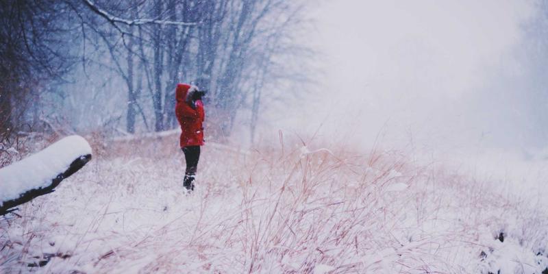 EH2012建站全攻略:从虚拟主机选购到域名注册的完整教程