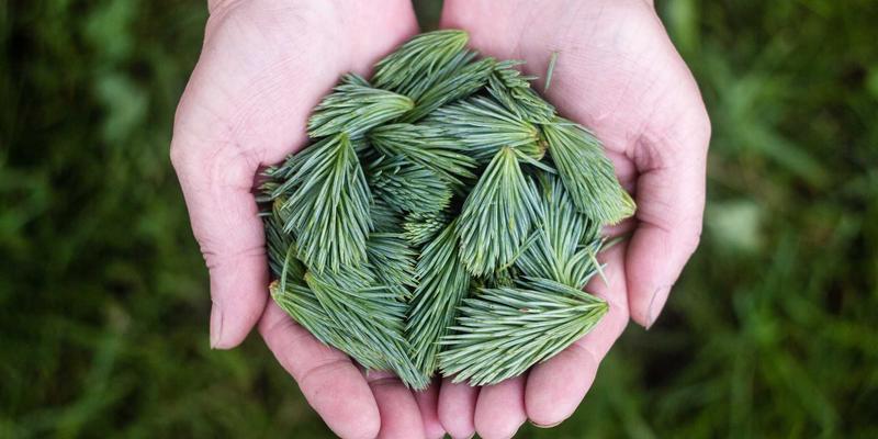 EH2012标准下的安全软件设计：如何为域名注册与服务器托管构建可信基石