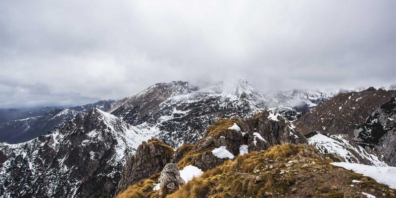 EH2012进阶指南:虚拟主机与服务器托管的战略选择与网络服务优化