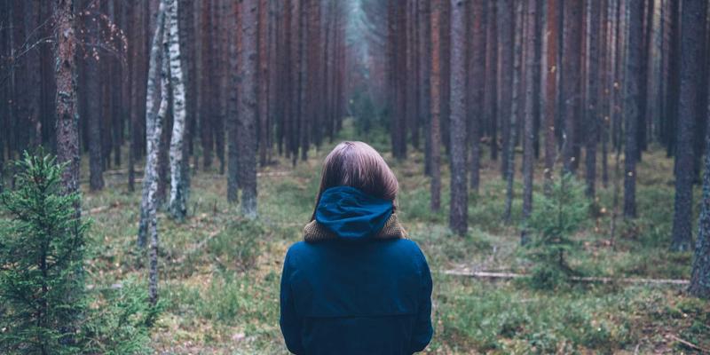 主机服务商如何助力基于EH2012的协作机器人安全验证：虚拟主机与服务器托管的实战指南