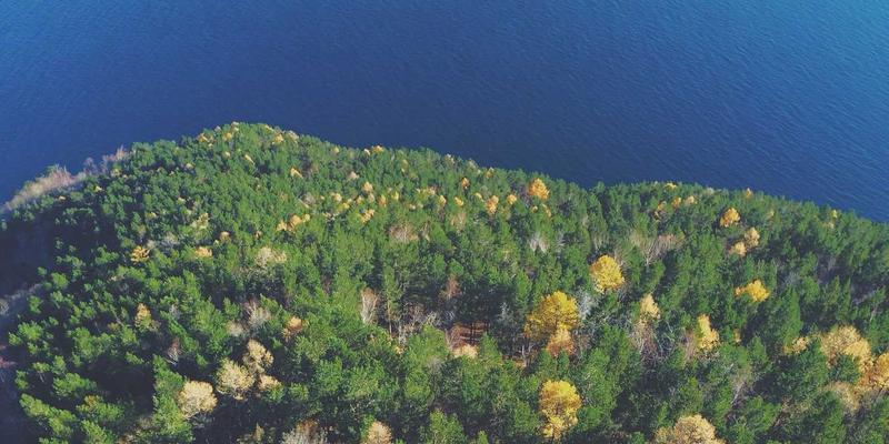 医疗设备制造商必读：EH2012与IEC 60601-1协同合规路径，从域名注册到企业建站的数字化基石